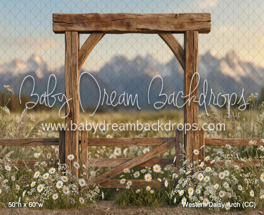Western Daisy Arch (CC)