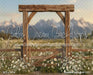 Western Daisy Arch (CC)