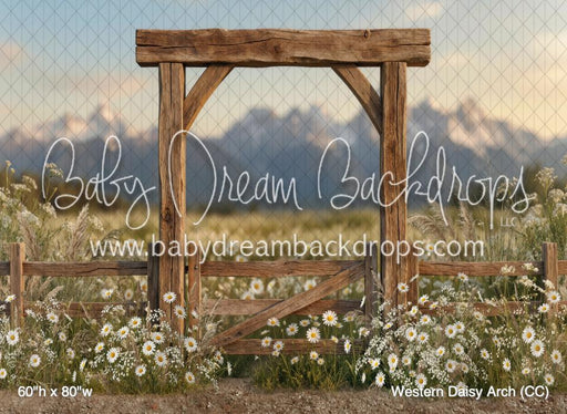 Western Daisy Arch (CC)