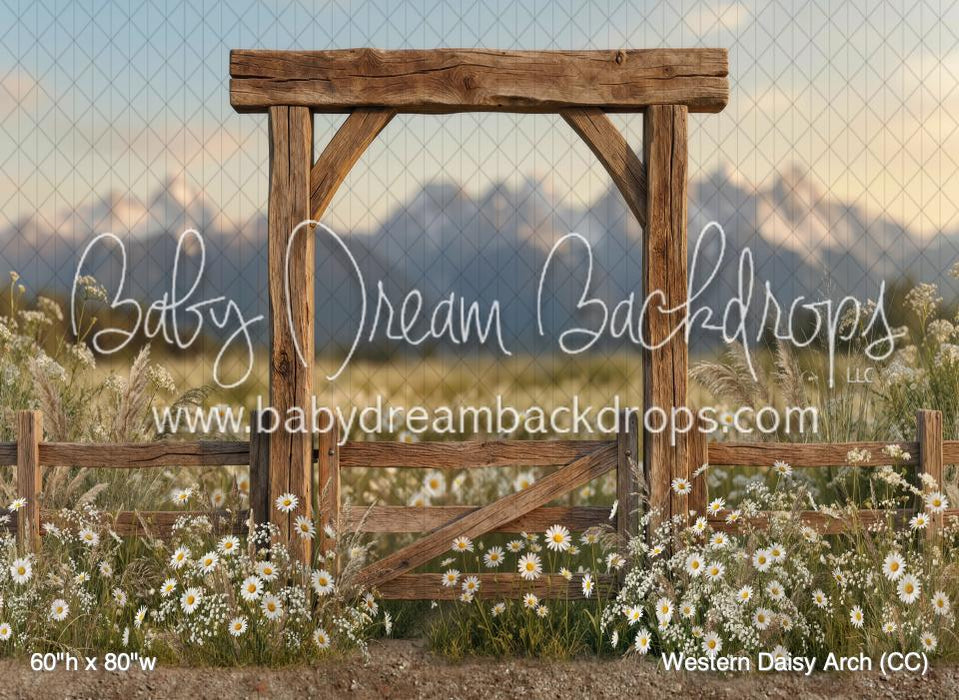 Western Daisy Arch (CC)