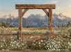 Western Daisy Arch (CC)