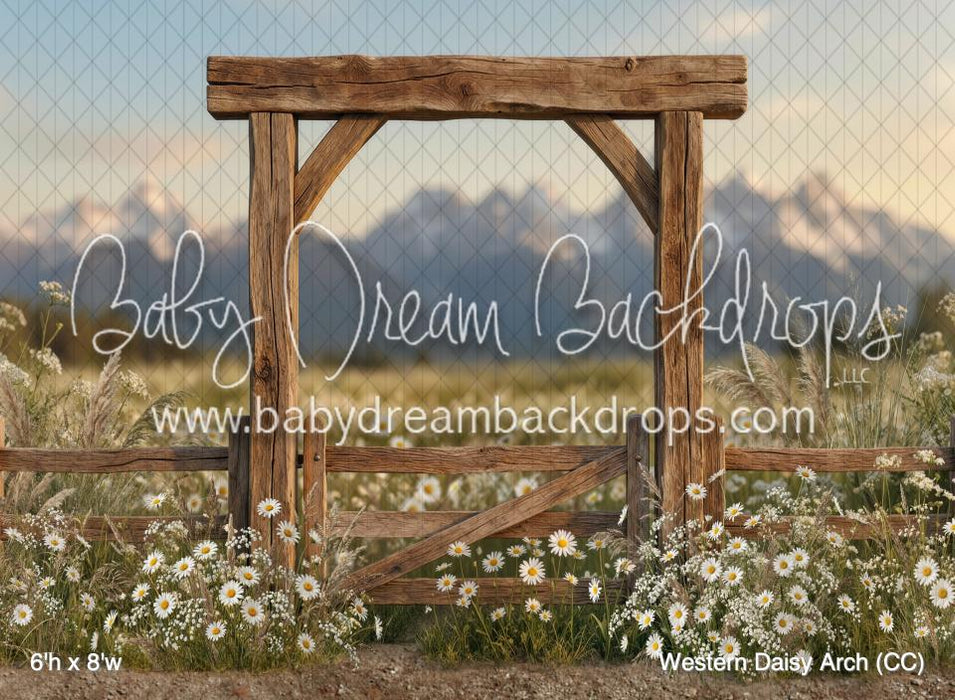 Western Daisy Arch (CC)