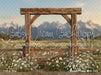 Western Daisy Arch (CC)