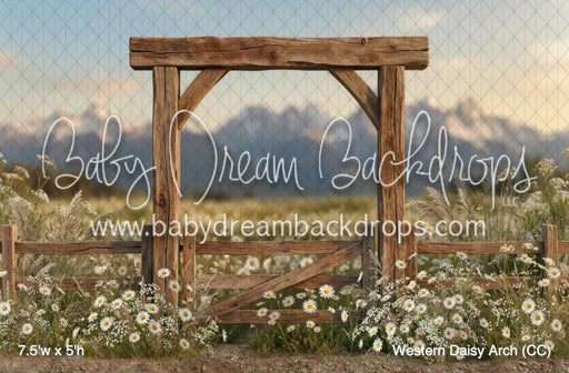 Western Daisy Arch (CC)