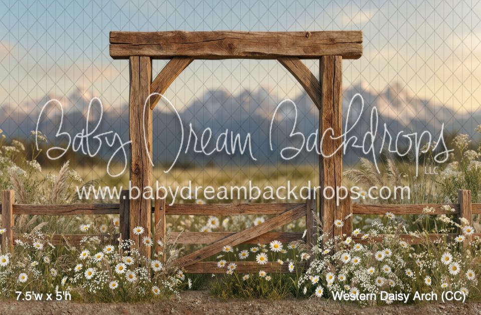 Western Daisy Arch (CC)