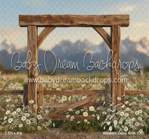 Western Daisy Arch (CC)