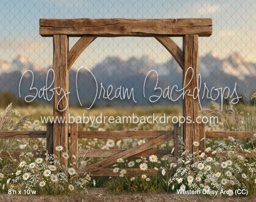 Western Daisy Arch (CC)