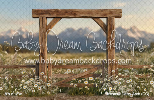 Western Daisy Arch (CC)