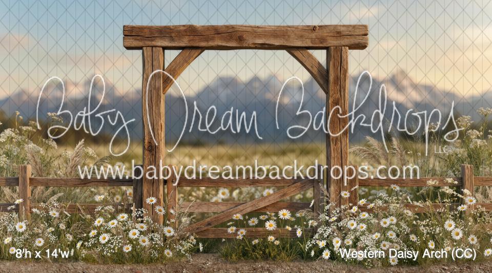 Western Daisy Arch (CC)