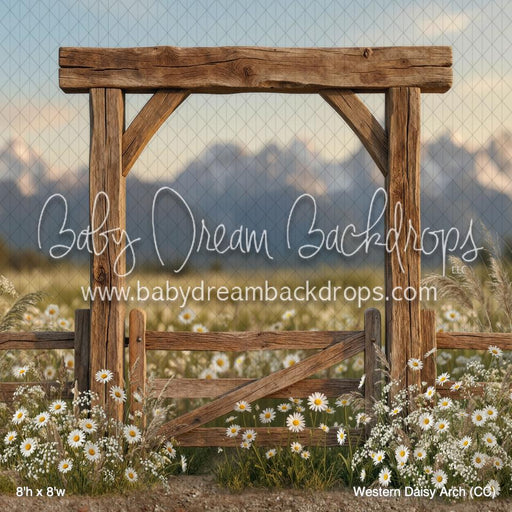 Western Daisy Arch (CC)