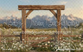 Western Daisy Arch (CC)