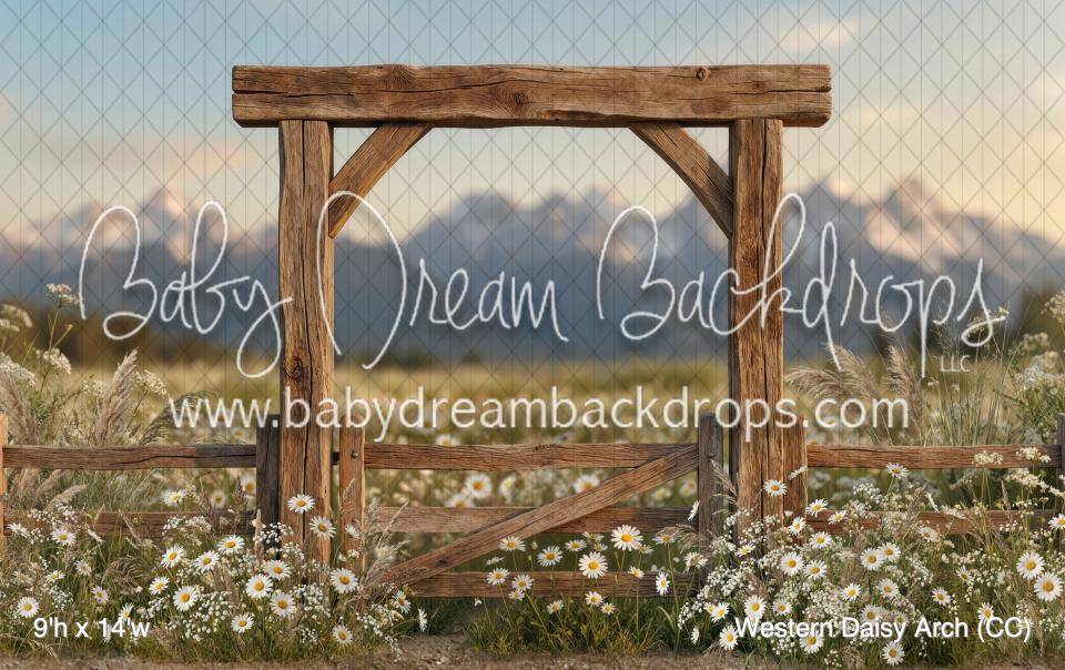 Western Daisy Arch (CC)