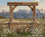Western Daisy Arch Grass (CC)