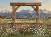 Western Daisy Arch Grass (CC)