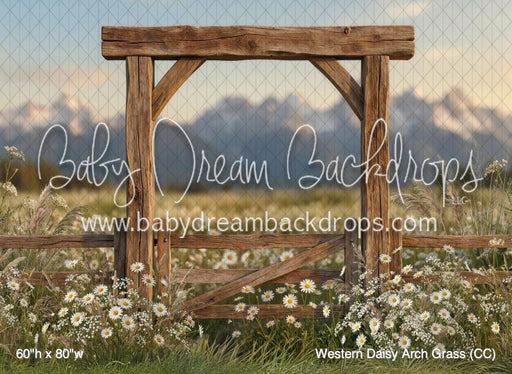 Western Daisy Arch Grass (CC)