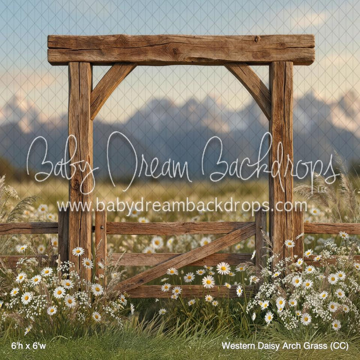 Western Daisy Arch Grass (CC)