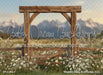 Western Daisy Arch Grass (CC)
