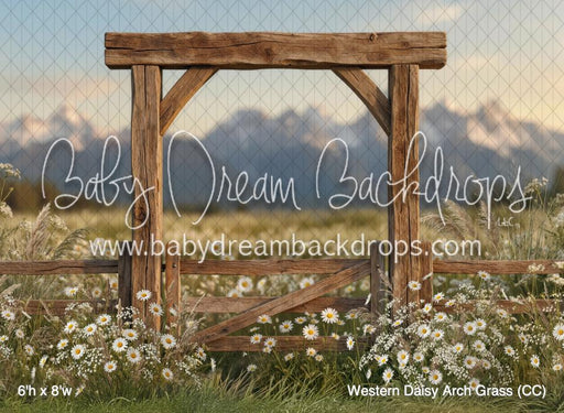Western Daisy Arch Grass (CC)
