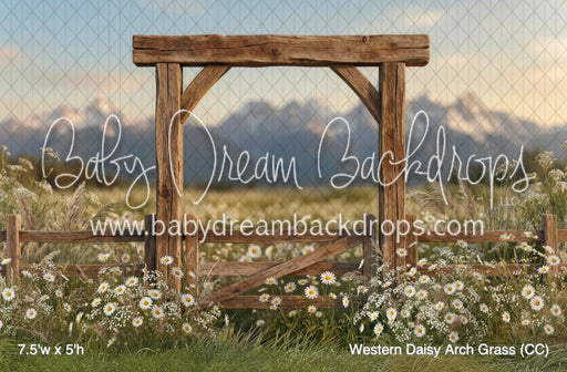 Western Daisy Arch Grass (CC)