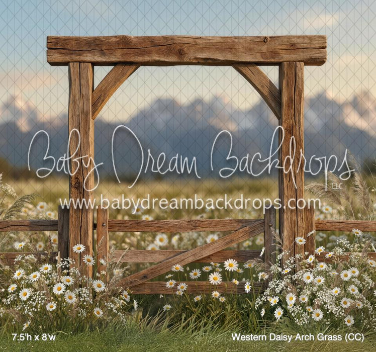 Western Daisy Arch Grass (CC)
