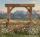 Western Daisy Arch Grass (CC)