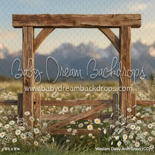 Western Daisy Arch Grass (CC)