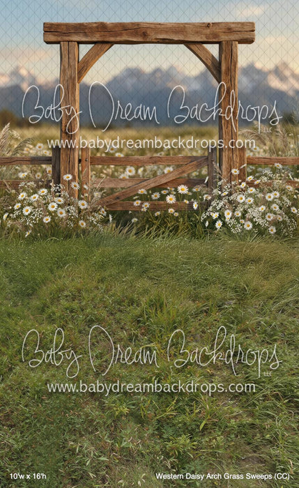 Western Daisy Arch Grass Sweeps (CC)