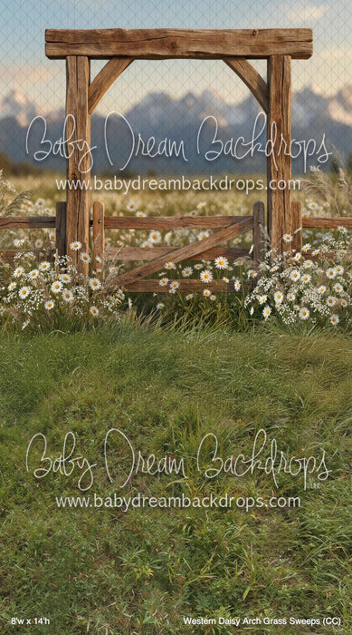 Western Daisy Arch Grass Sweeps (CC)