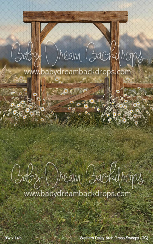 Western Daisy Arch Grass Sweeps (CC)