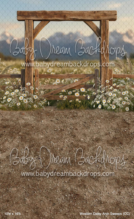 Western Daisy Arch Sweeps (CC)