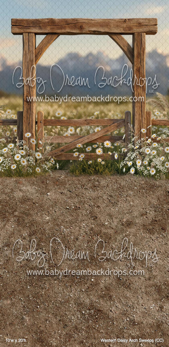 Western Daisy Arch Sweeps (CC)