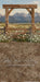 Western Daisy Arch Sweeps (CC)