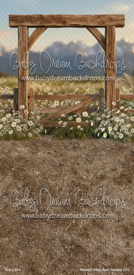 Western Daisy Arch Sweeps (CC)