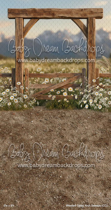 Western Daisy Arch Sweeps (CC)