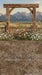 Western Daisy Arch Sweeps (CC)