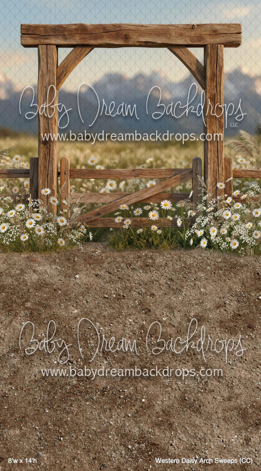 Western Daisy Arch Sweeps (CC)