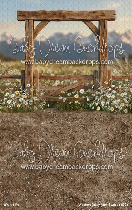 Western Daisy Arch Sweeps (CC)