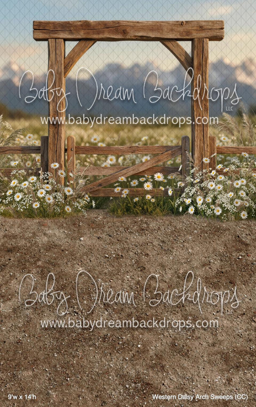 Western Daisy Arch Sweeps (CC)