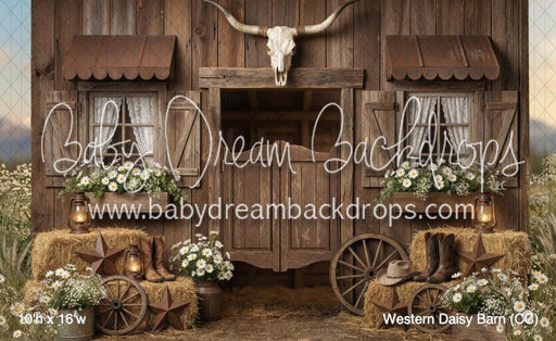 Western Daisy Barn (CC)