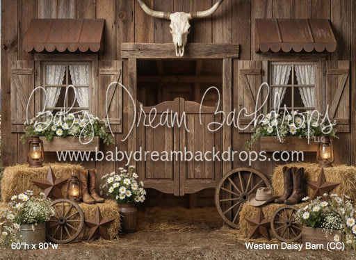 Western Daisy Barn (CC)