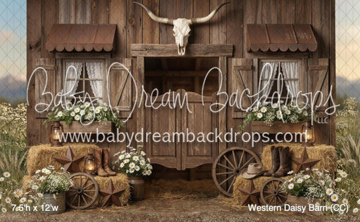 Western Daisy Barn (CC)