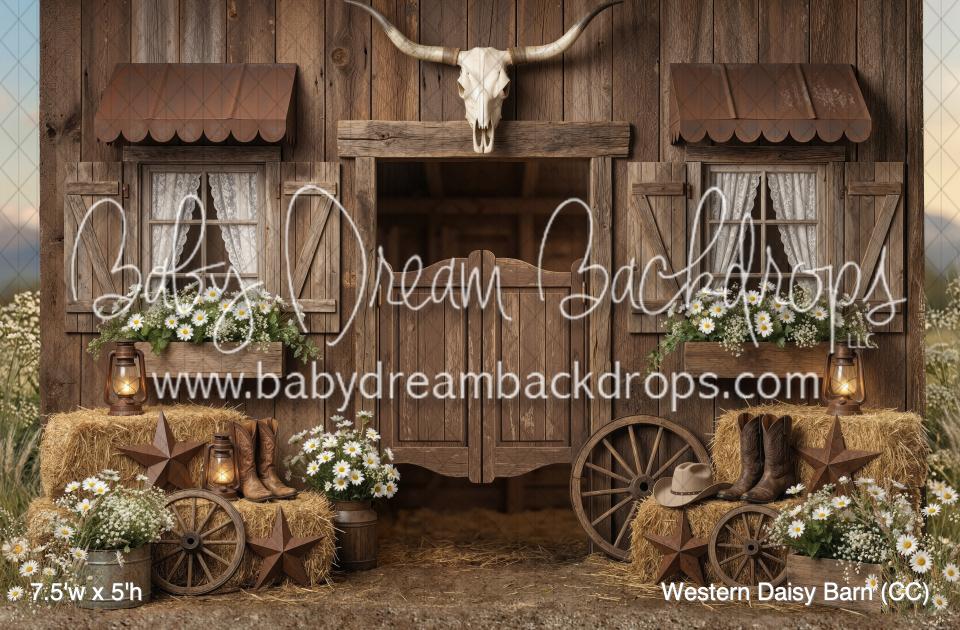 Western Daisy Barn (CC)