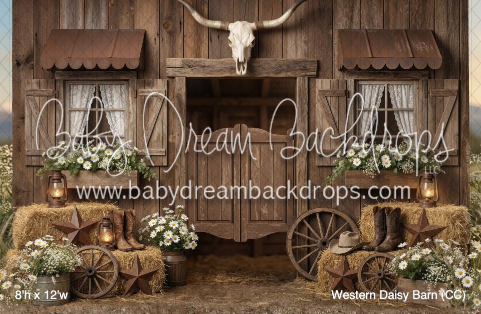 Western Daisy Barn (CC)