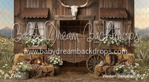Western Daisy Barn (CC)