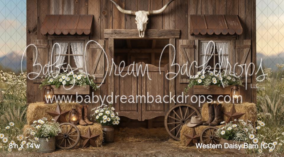 Western Daisy Barn (CC)