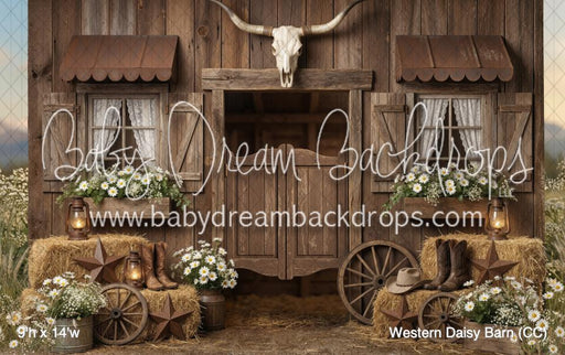 Western Daisy Barn (CC)