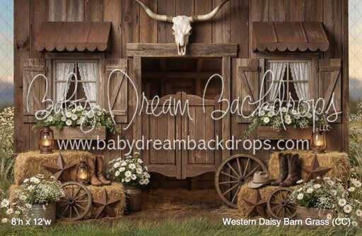 Western Daisy Barn Grass (CC)