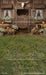 Western Daisy Barn Grass Sweeps (CC)