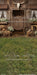 Western Daisy Barn Grass Sweeps (CC)