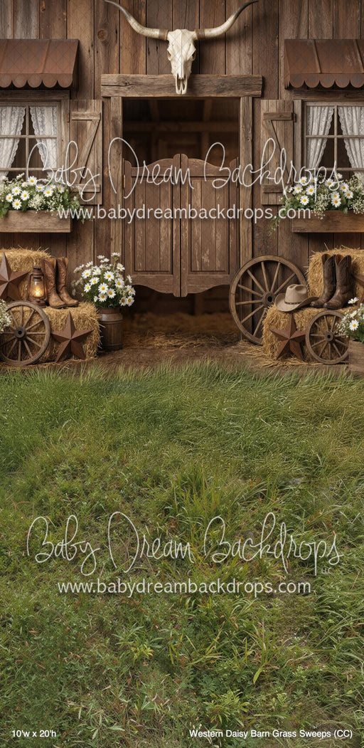 Western Daisy Barn Grass Sweeps (CC)